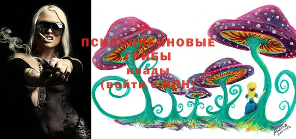 герыч Корсаков