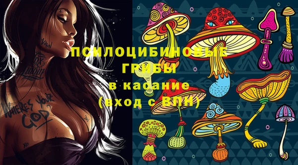 таблы Коряжма